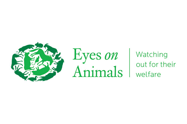 Eyes on Animals