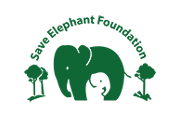 Save Elephant Foundation