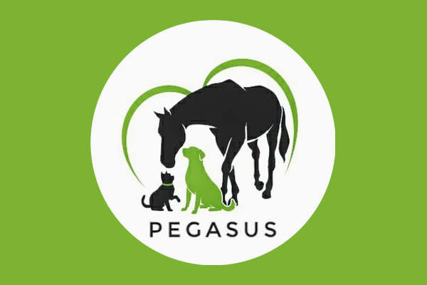 Pegasus