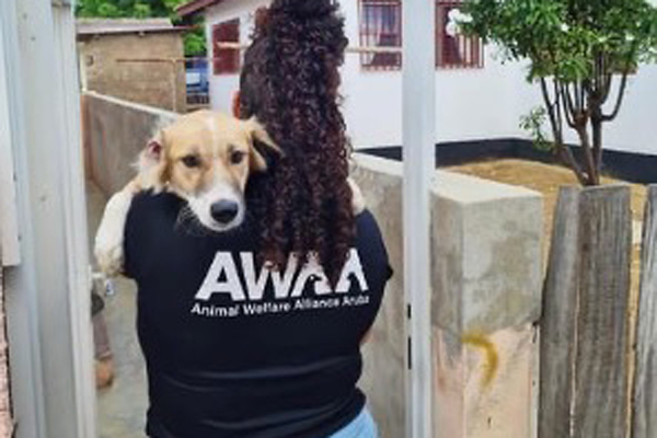 Animal Welfare Alliance Aruba